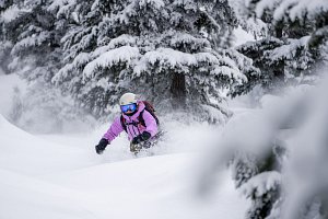 Last Frontier Heliskiing 2024 powder in the trees